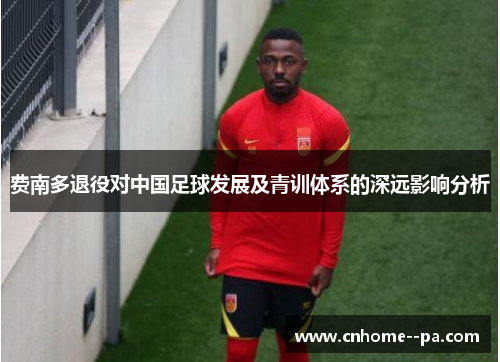 费南多退役对中国足球发展及青训体系的深远影响分析